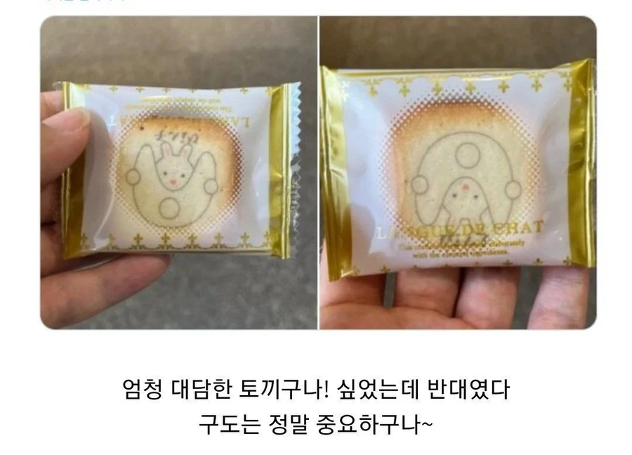 엄청 야한 토끼_1.webp