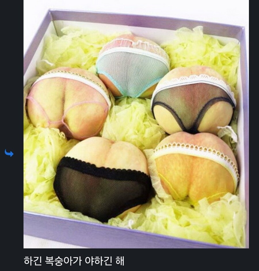 대놓고 야한것 .jpg_1.jpg