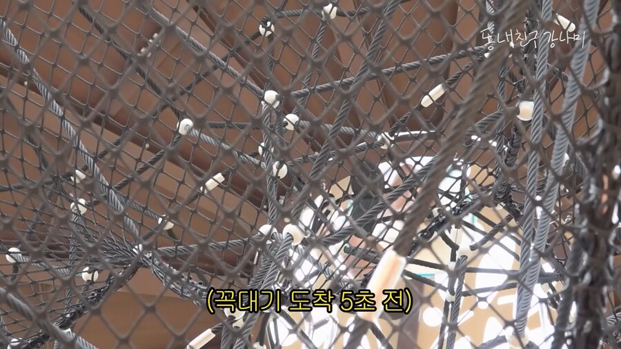 추풍령 휴게소에 있다는 테마파크_17.png