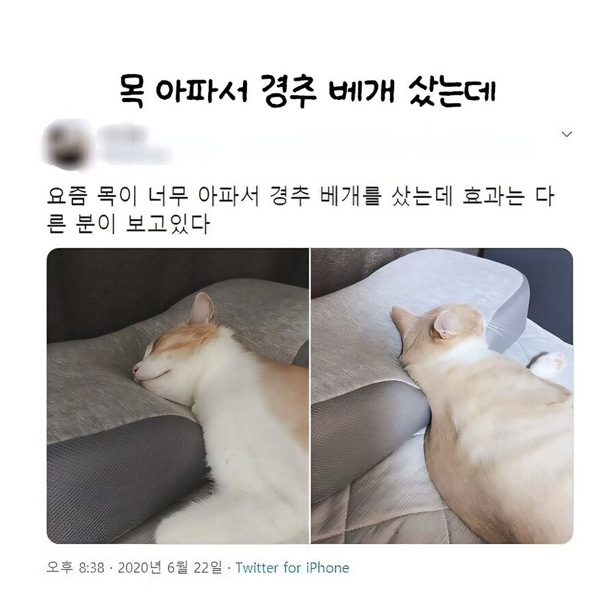 목 아파서 경추 배게 구매 후기_1.jpg