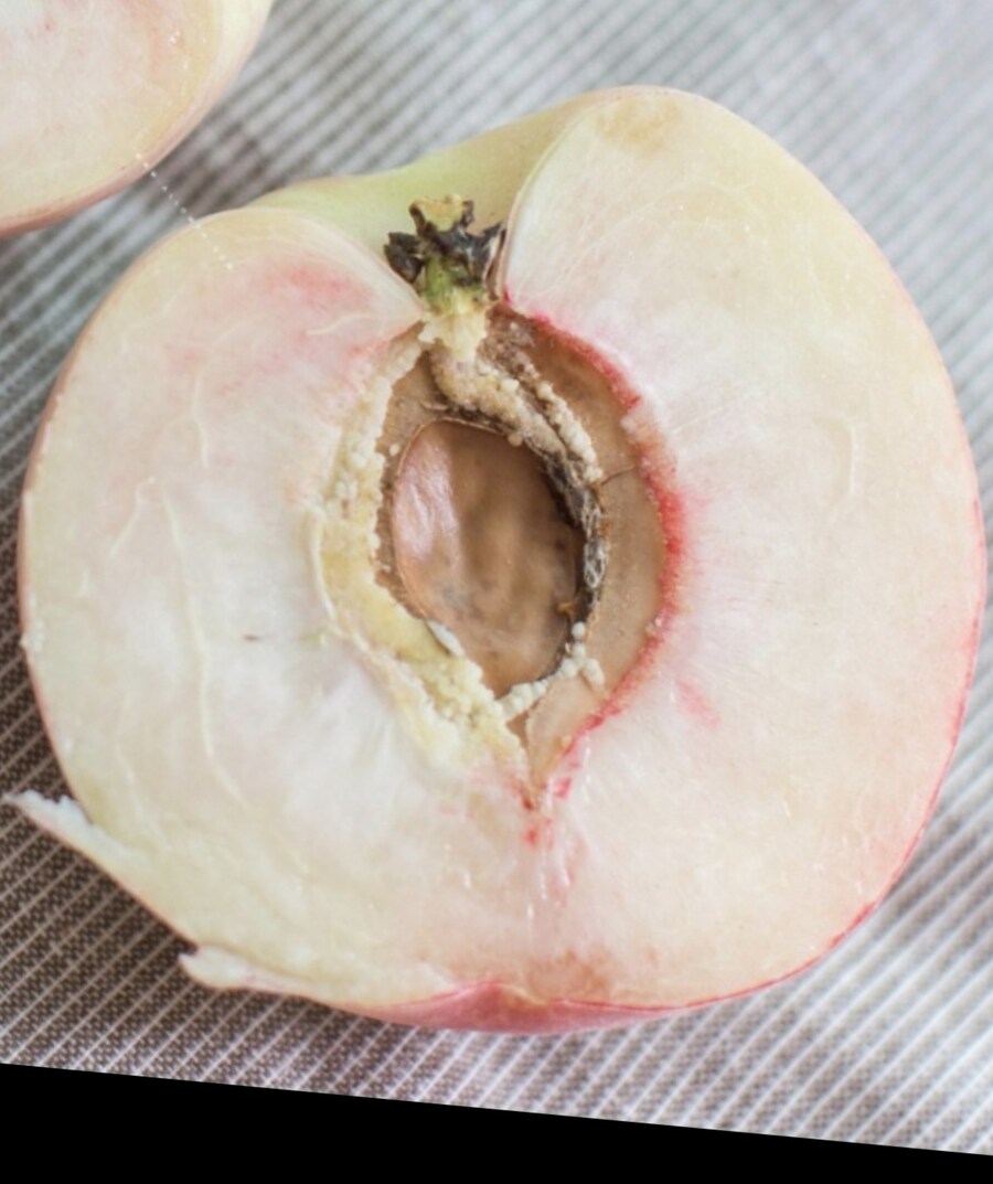 복숭아는 맛있다_4.jpg