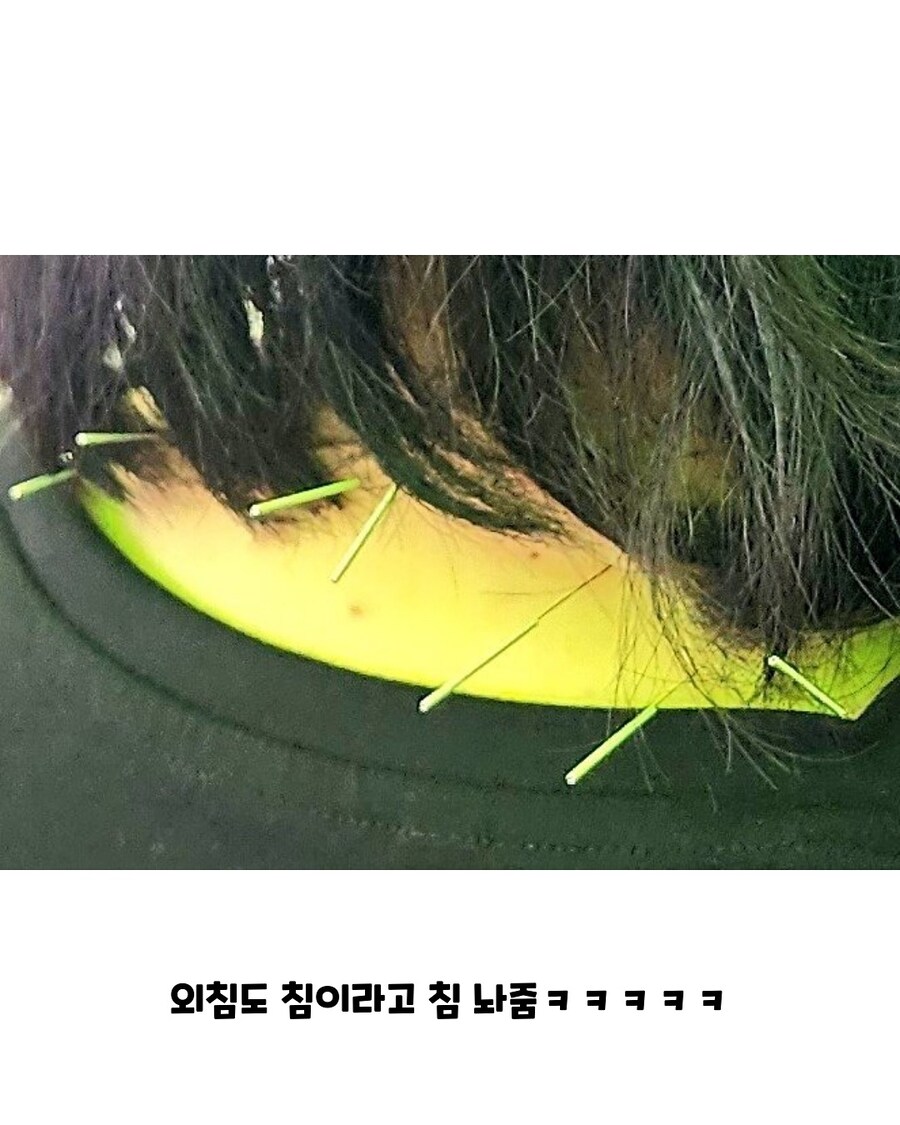 부산 국제 록 페스티벌의 수상한 부스_3.jpg