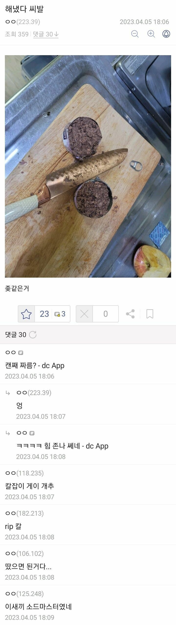 고양이밥을 주고싶었던 디시유저_4.jpg
