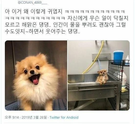 갠차나 그럴수도 있지._1.webp