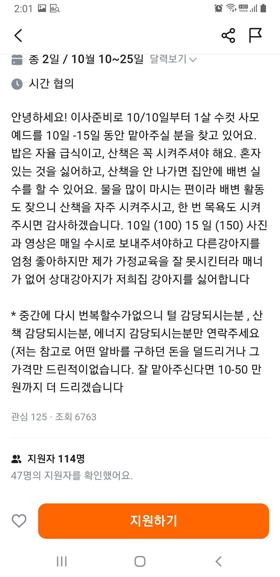 사모예드 돌보는 당근 알바_2.jpg
