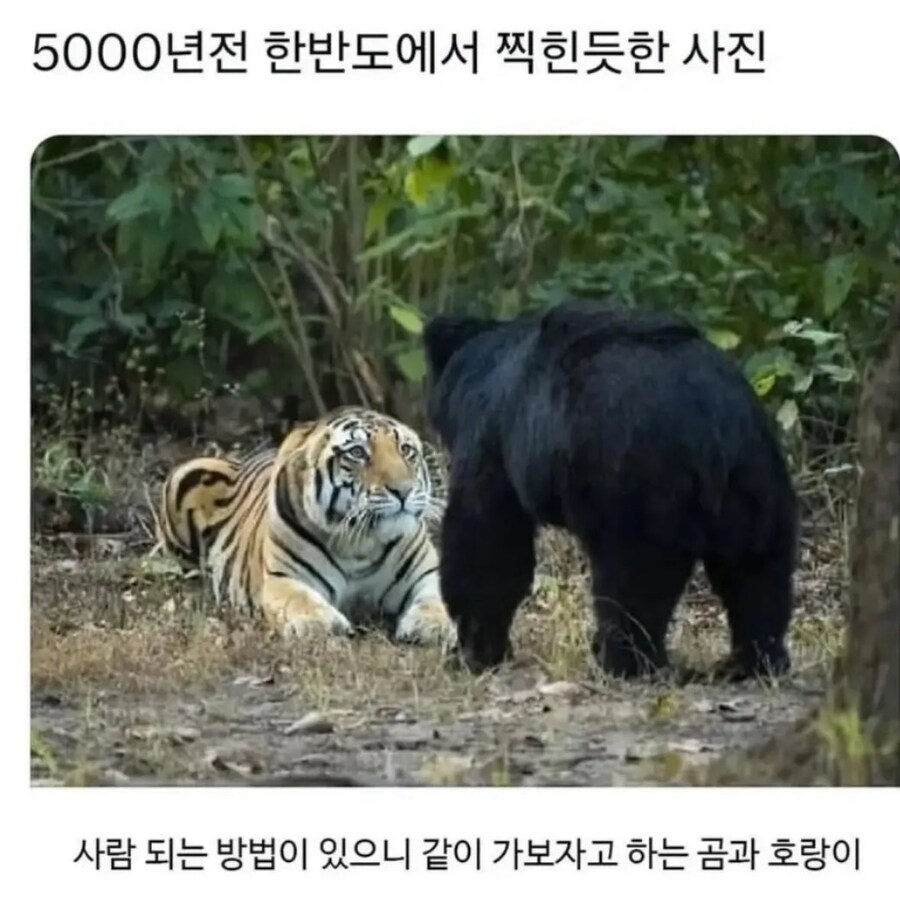 아주 옛날 한반도에서..._1.jpg