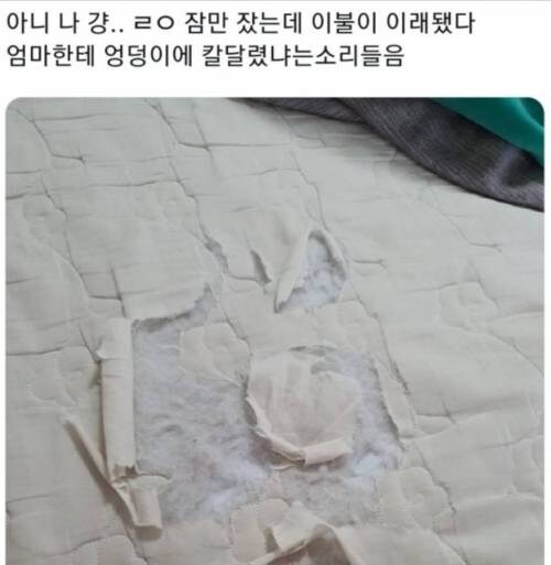 잠만 잤는데 이불이.jpg_1.jpg