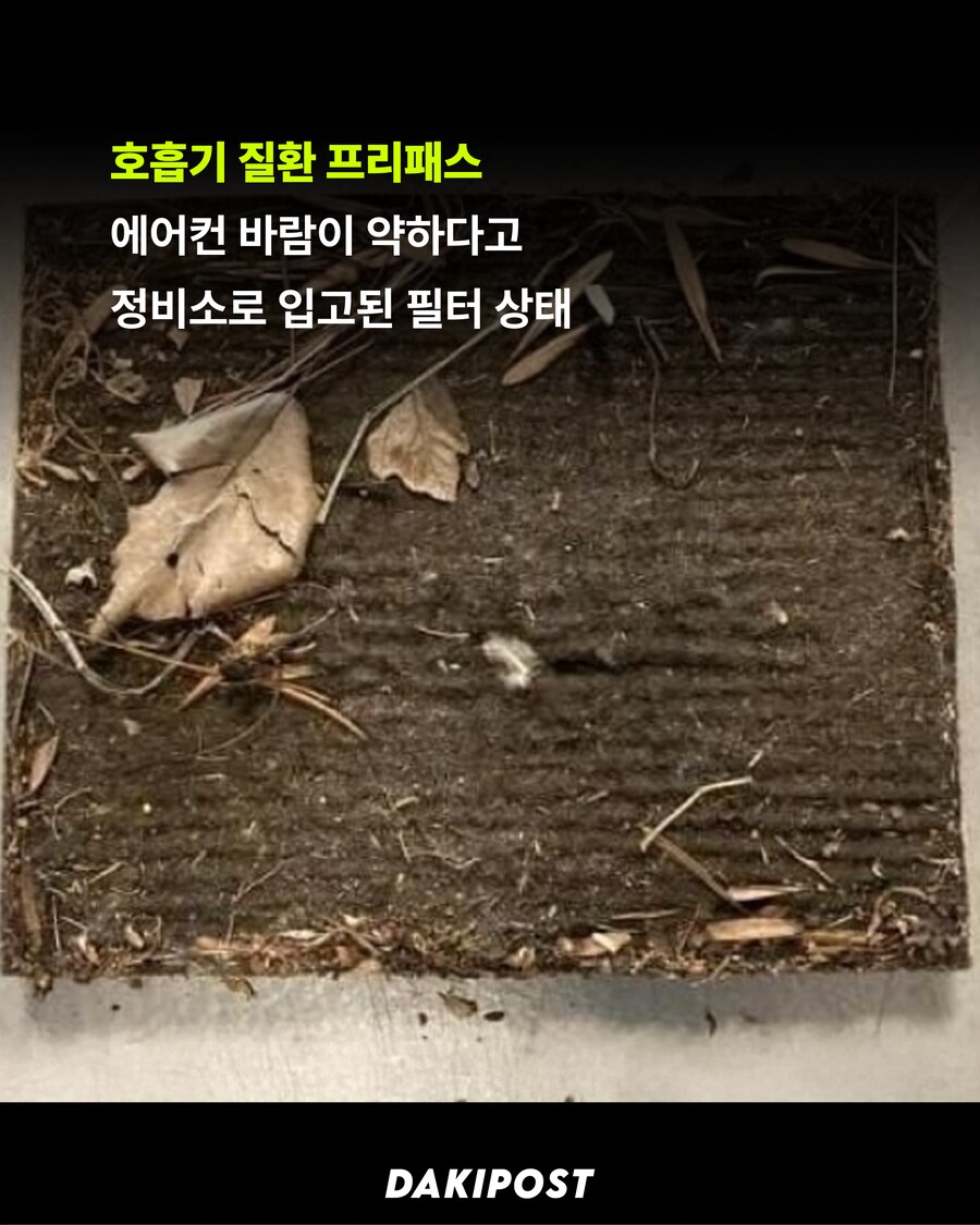 자동차 정비사들 좋아죽는 사진들_5.png