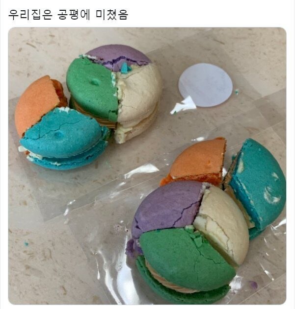 마카롱도 공평하게 나눠먹는 집.jpg_1.jpg