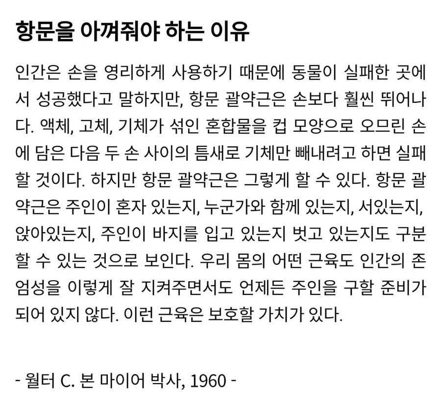 좋은것만 넣고 소중하게 쓰다듬어 주세요_1.webp