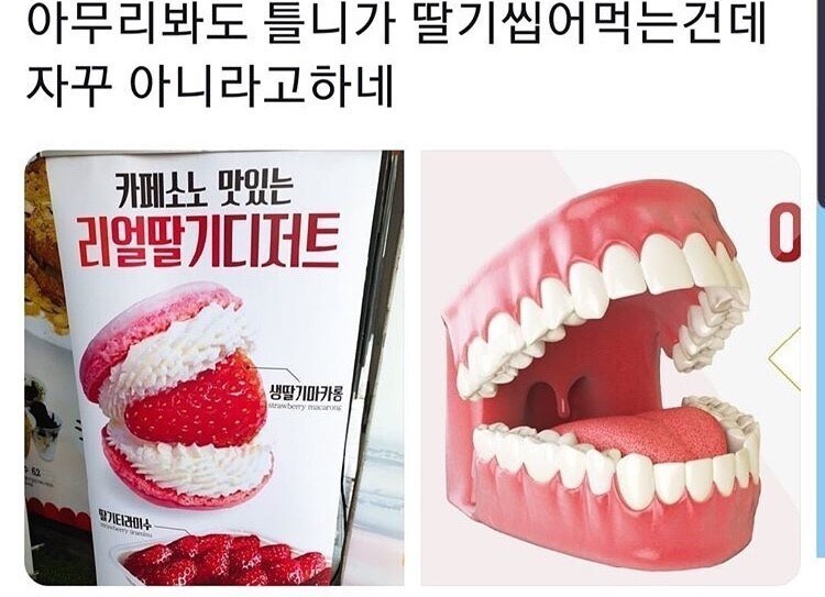 딸기 씹어먹는 틀니.jpg_1.jpg