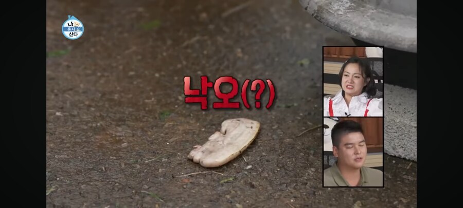 기안84가 말하는 전현무가 면역력 떨어지는 이유_1.jpg