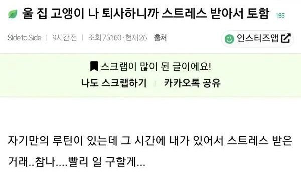 ??? : 저거 이제 사람구실 좀 하나 싶더니 또 백수됐네_1.jpg