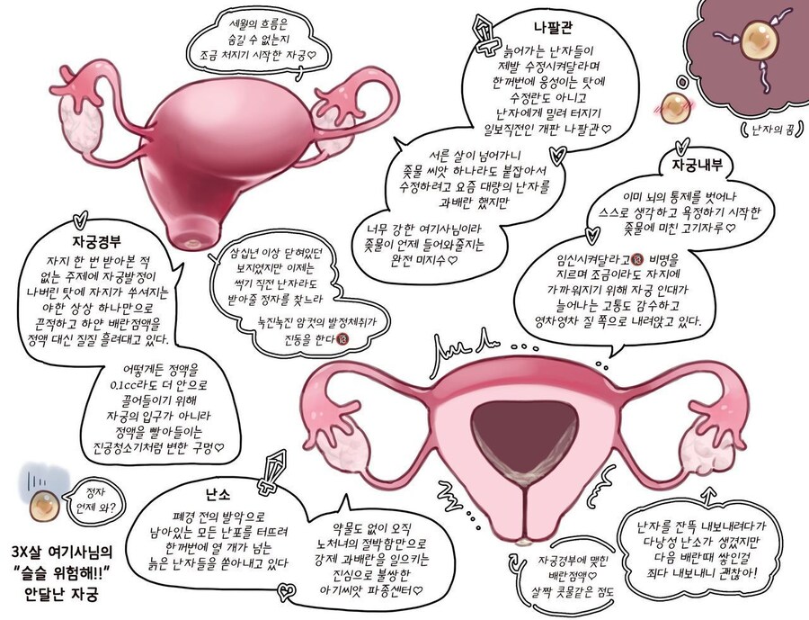3x세 슬슬 혼기가위험한 닭장노처녀.jpg_1.jpg