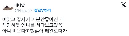비맞고 갑자기 기분 안좋아진 강아지_1.png