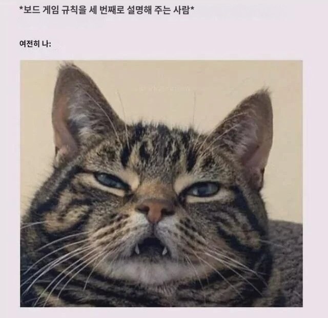 보드 게임 규칙을 세번째로 설명해주는 사람_1.jpg