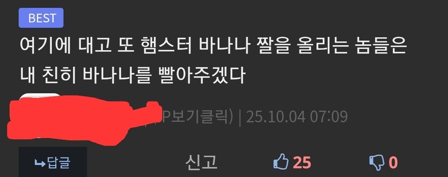 햄스터 바나나 짤_6.jpg
