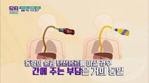 탄산음료의 충격적인 사실.jpg_1.jpg