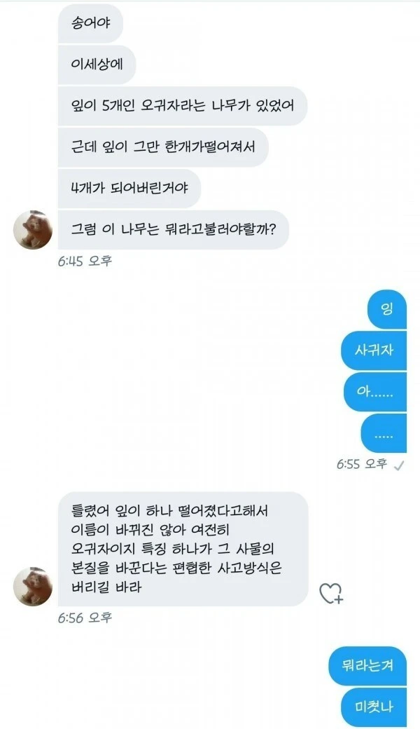 잎이 다섯인