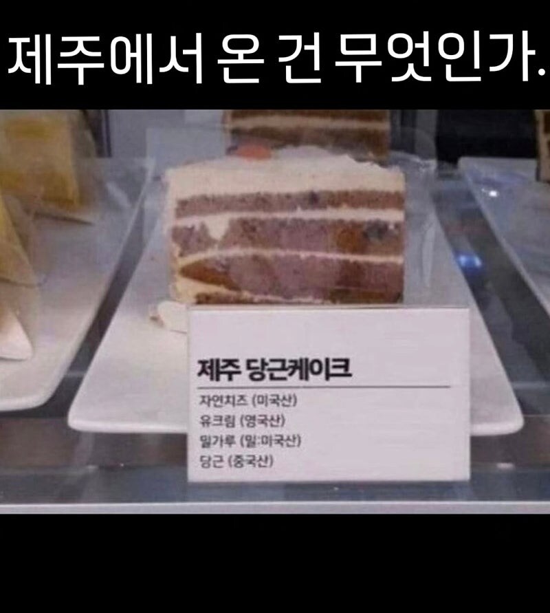 충격적인 제주 당근케이크..._1.jpg