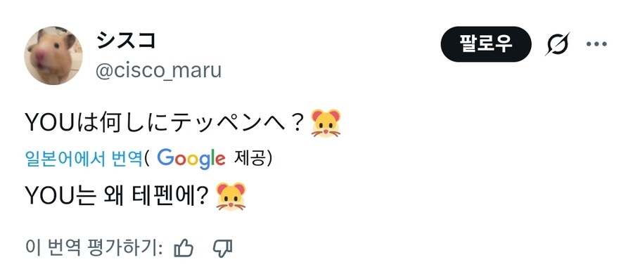 햄스터가 탈주하면 벌어지는 일_1.jpg