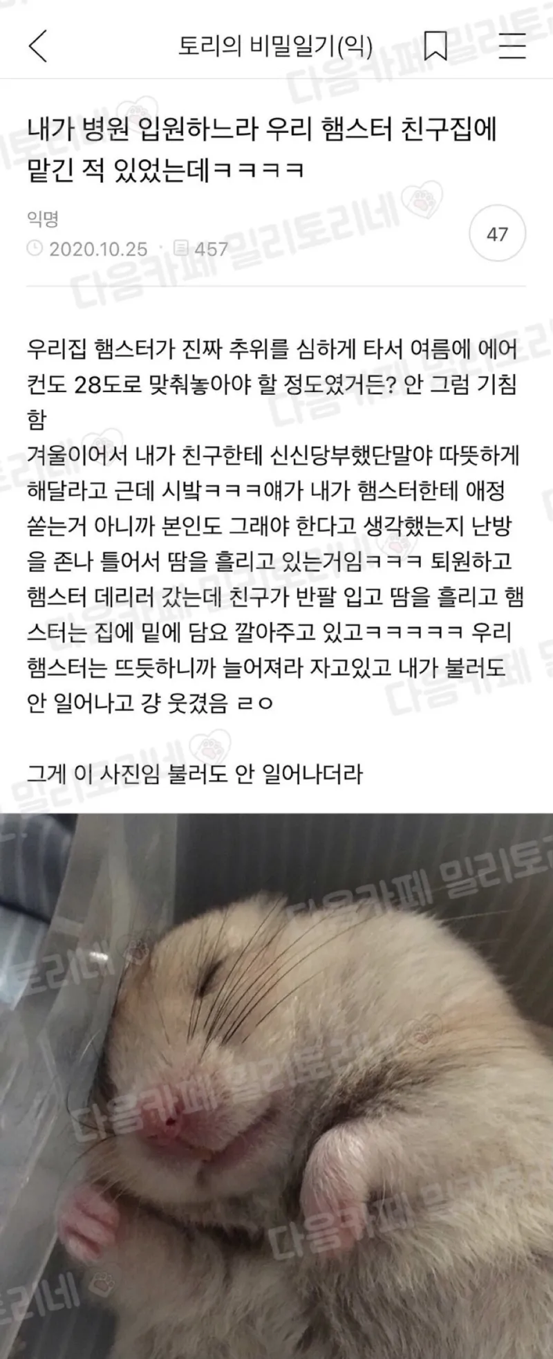 우리 햄스터 친구집에 맡긴 적 있었는데._1.webp