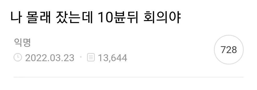 망했다 나 몰래 잤는데 10분뒤 회의야.jpg_1.jpg