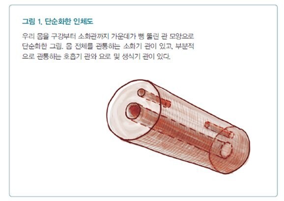 사람의 신채구조를 간단하게 표현한다면_1.jpg