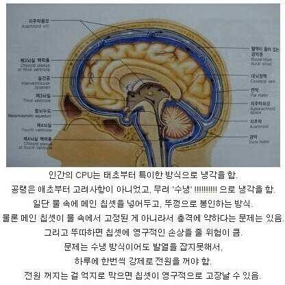 우리 몸의 ㅂㅅ같이 설계된 부분들.jpg_2.jpg
