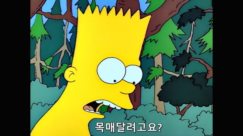 숲속에서 원시인으로 사는 방법_7.jpg