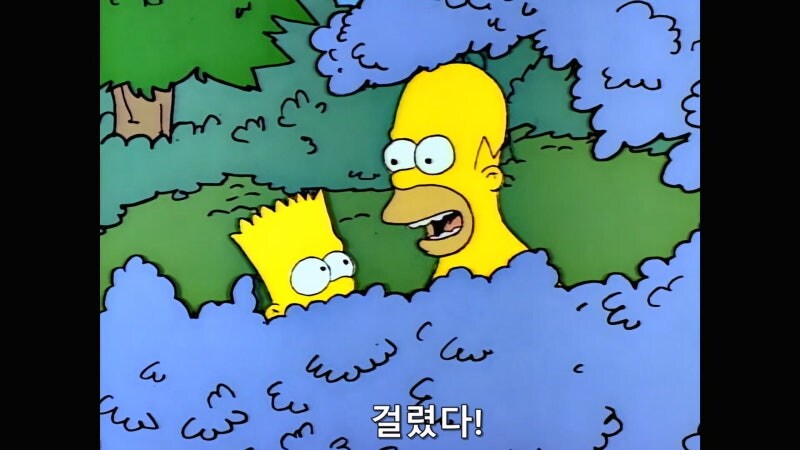 숲속에서 원시인으로 사는 방법_13.jpg