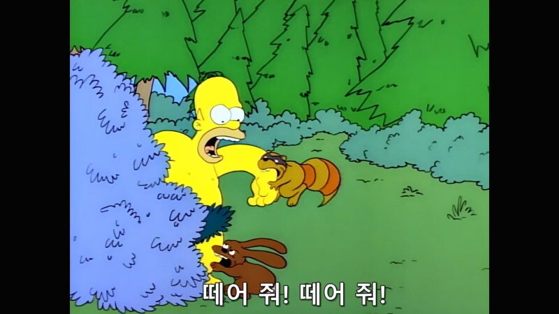 숲속에서 원시인으로 사는 방법_23.jpg