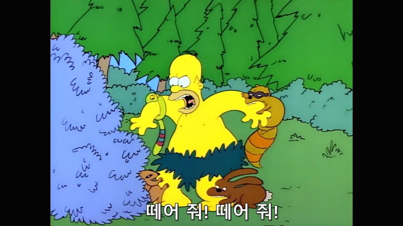 숲속에서 원시인으로 사는 방법_25.jpg