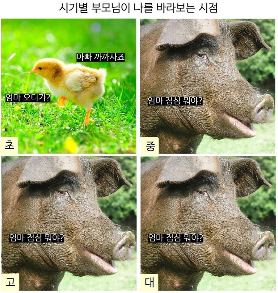 엄마가 볼 때 나 vs 할머니가 볼 때 나_1.jpg
