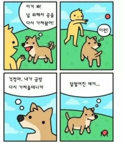 강아지 특_1.jpg