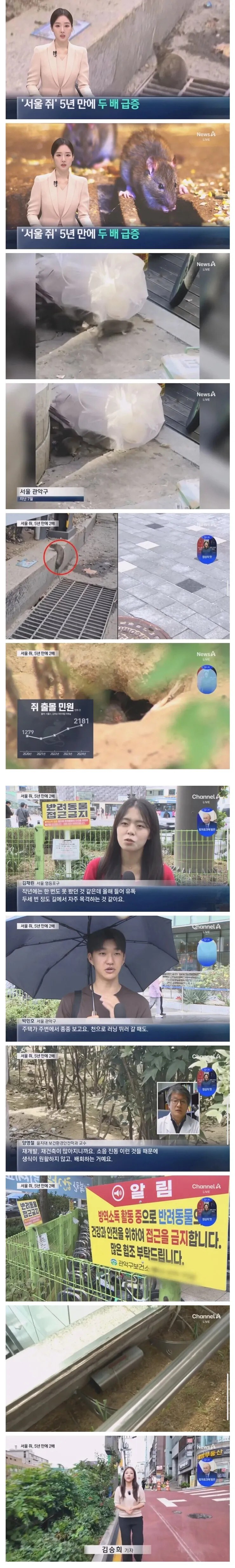 요새 시골쥐 대신 서울쥐가 대세임_2.jpg