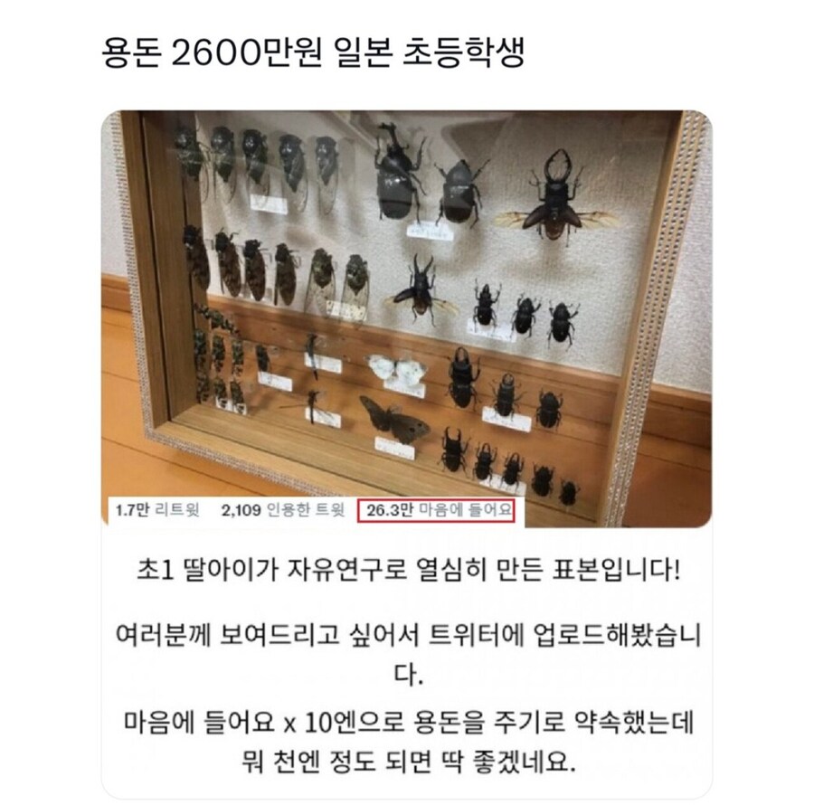 용돈 2,600만원일본초등학생_1.jpg