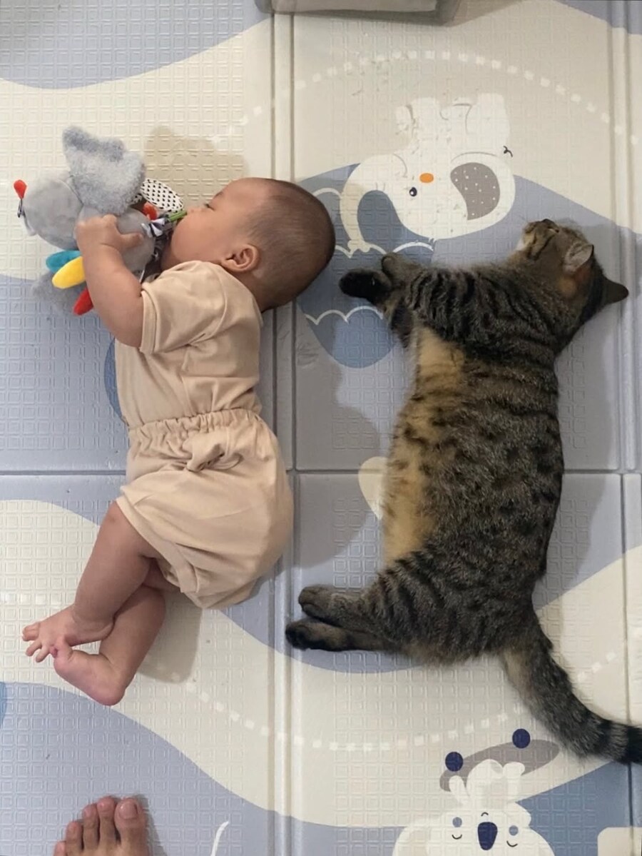 아기와 냐옹이..._1.jpg