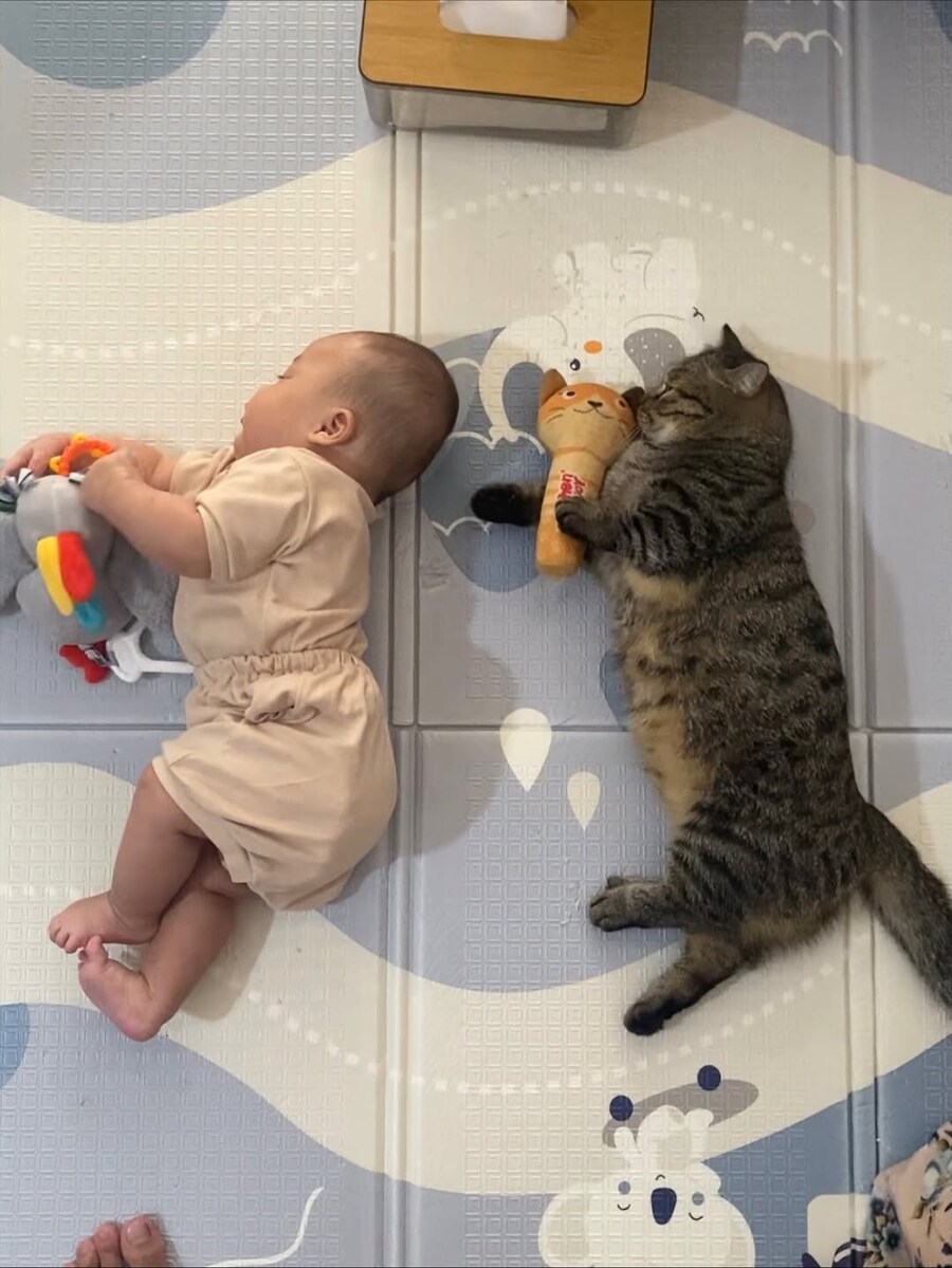 아기와 냐옹이..._2.jpg