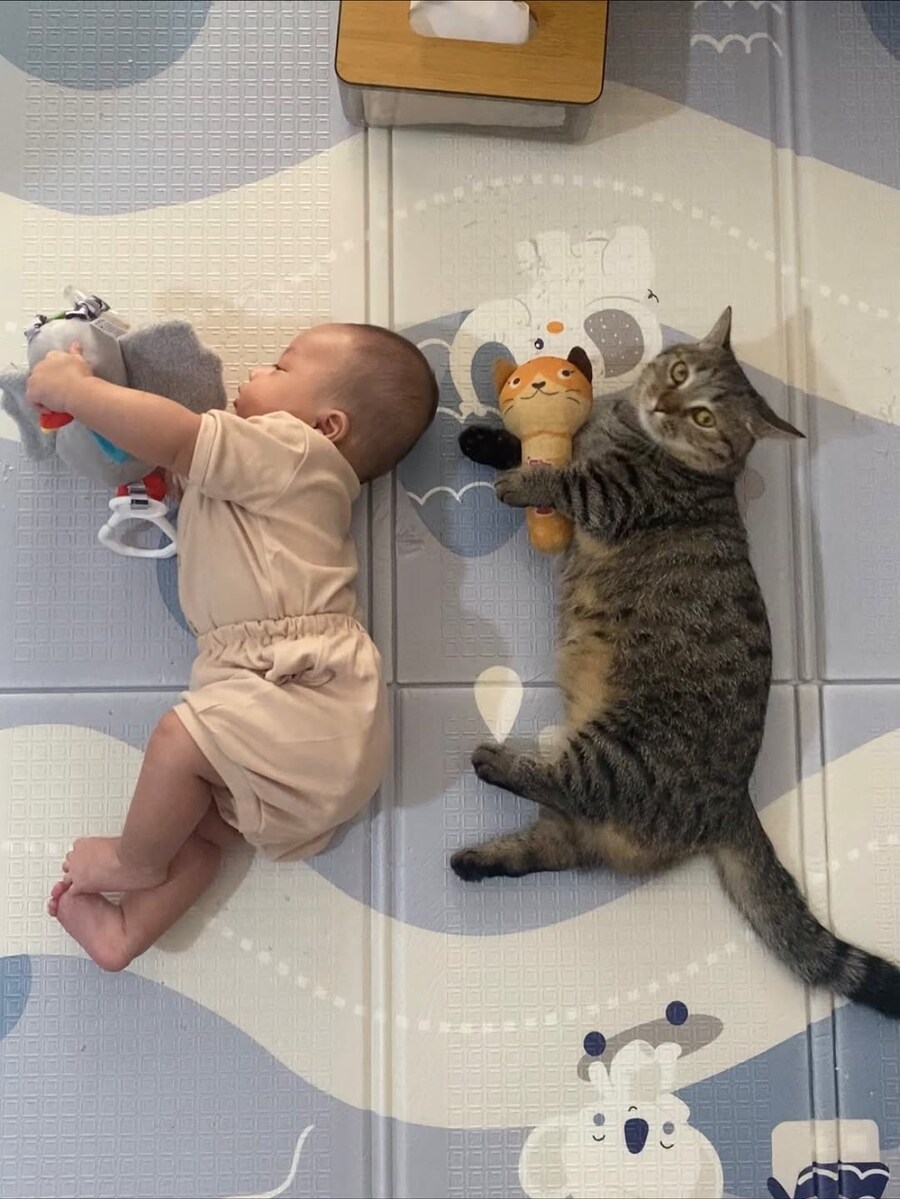 아기와 냐옹이..._4.jpg