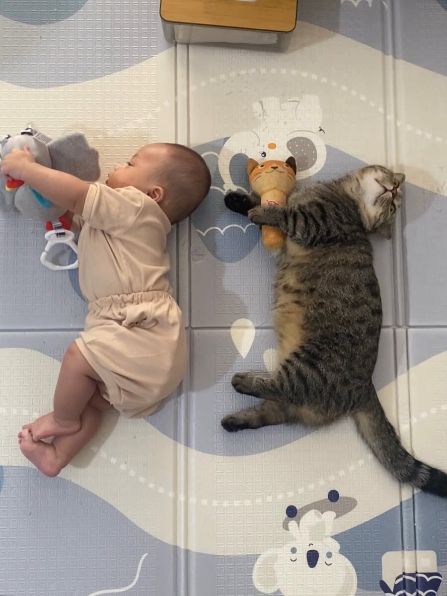 아기와 냐옹이..._6.jpg