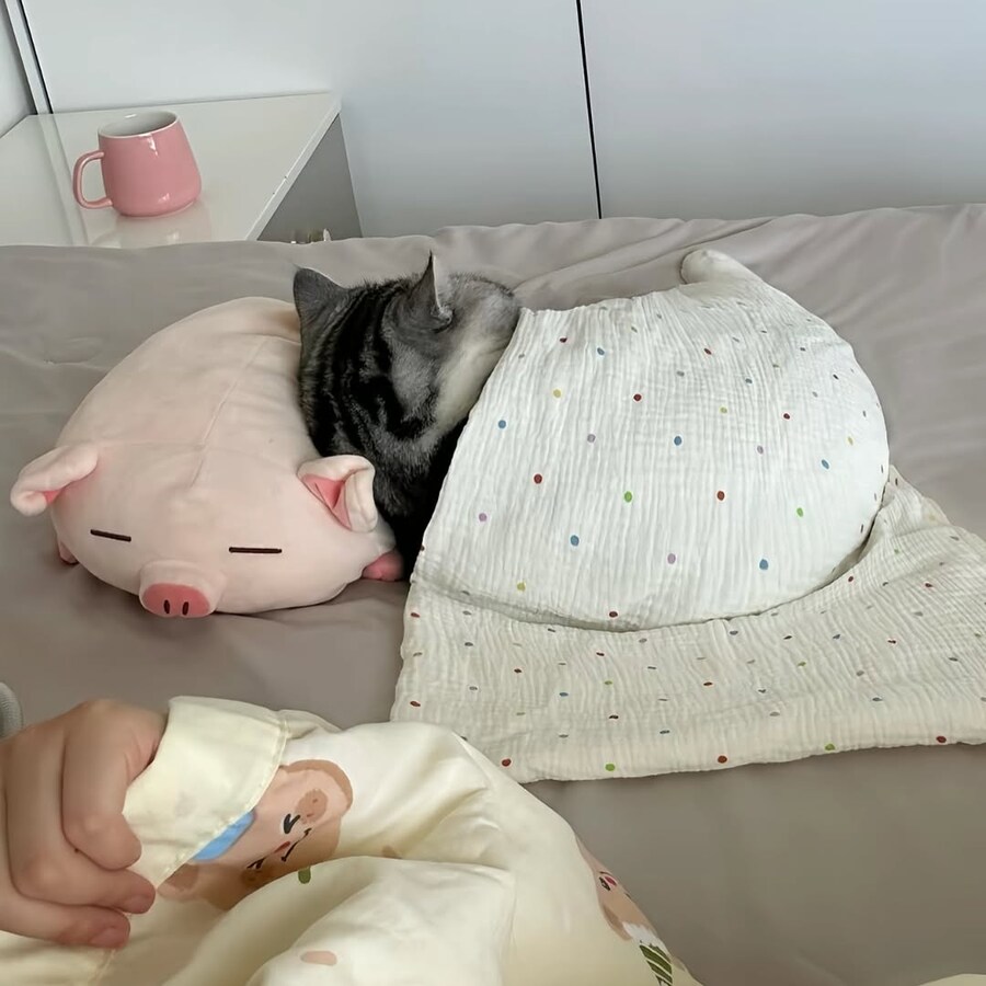 이불덮고 자는 뚠냥이.._4.jpg