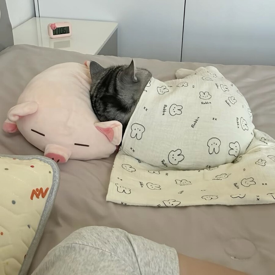 이불덮고 자는 뚠냥이.._5.jpg