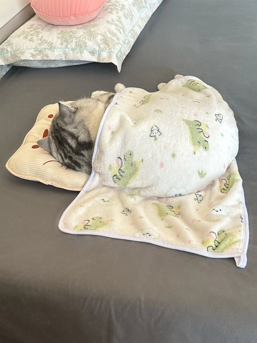이불덮고 자는 뚠냥이.._6.jpg