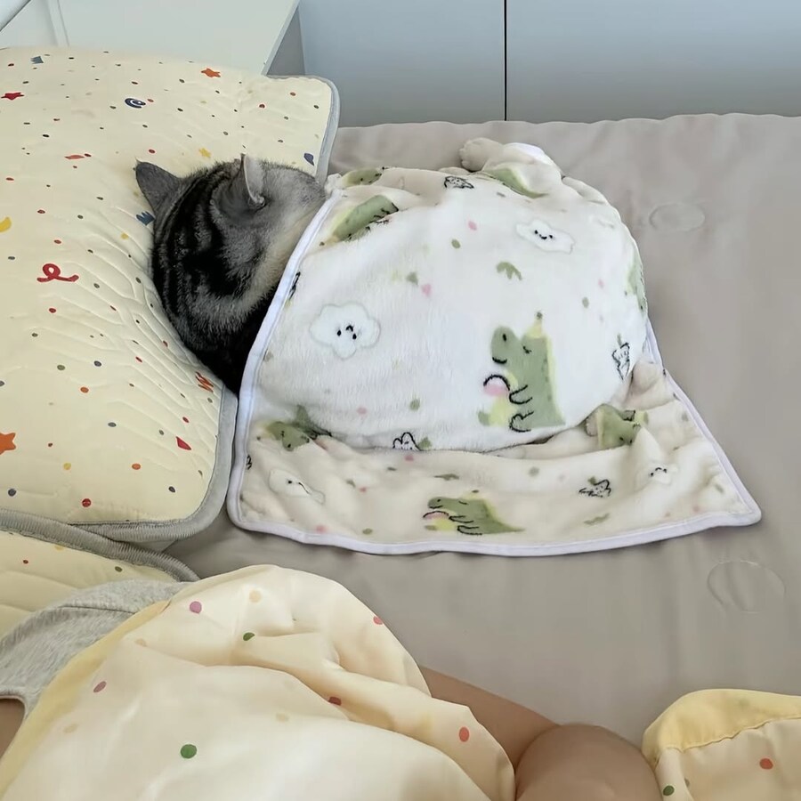 이불덮고 자는 뚠냥이.._8.jpg