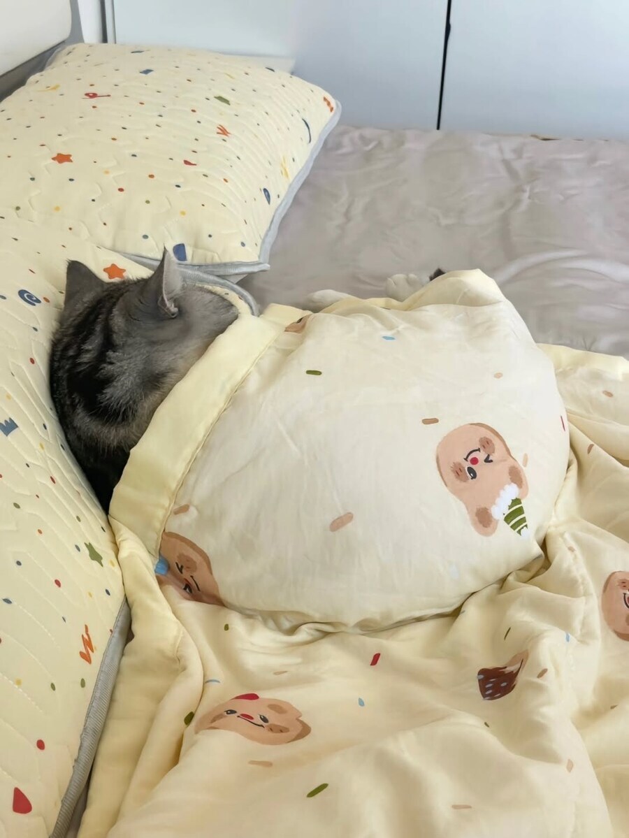 이불덮고 자는 뚠냥이.._10.jpg