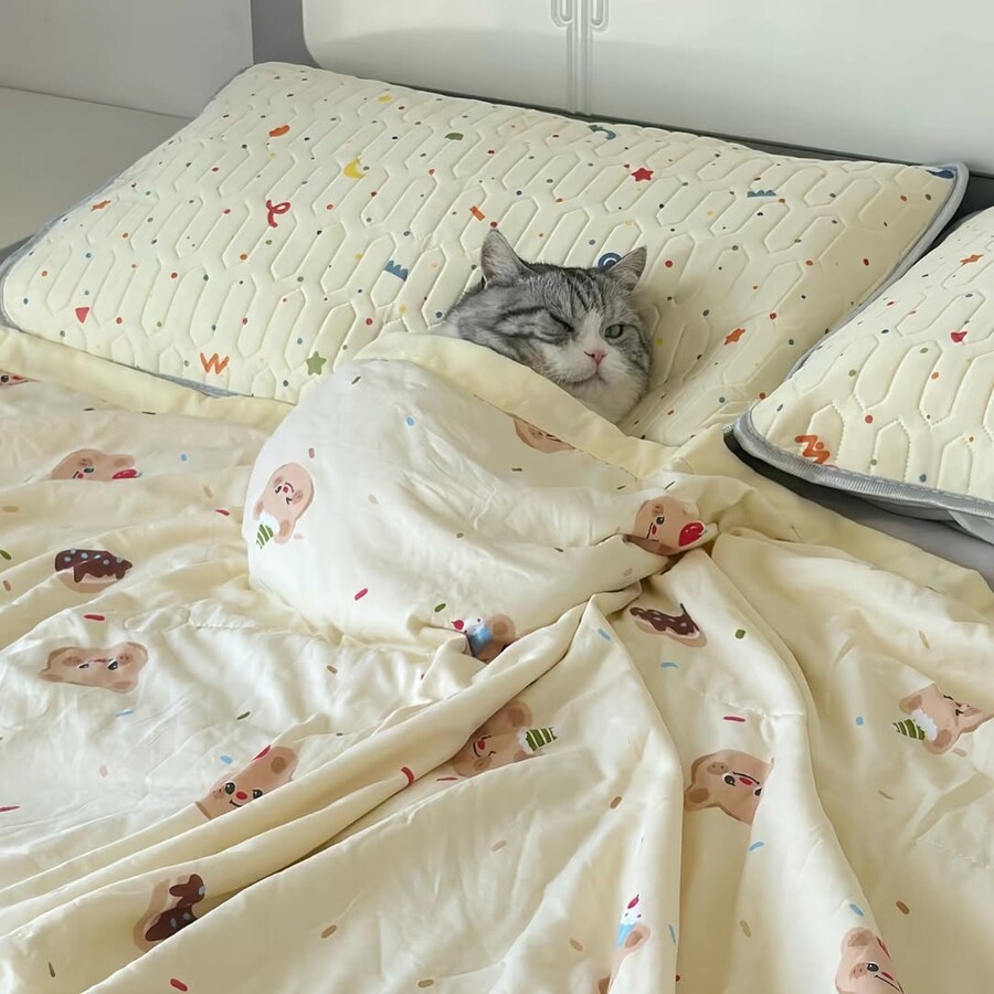 이불덮고 자는 뚠냥이.._13.jpg