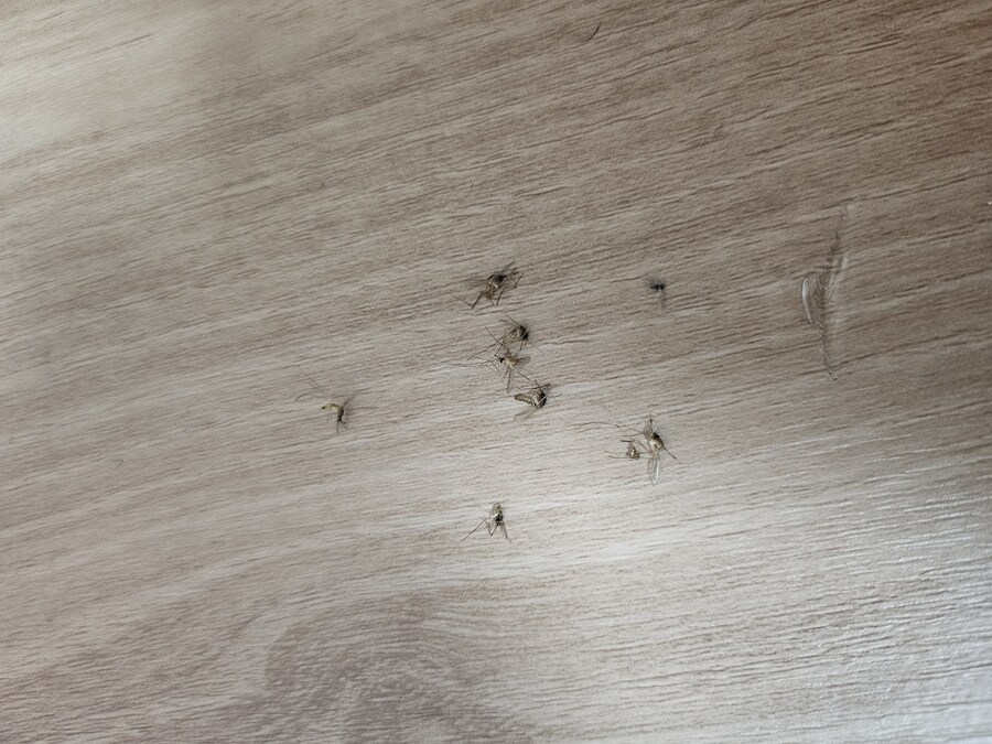 이사를 가던지 해야지 씨1발_1.jpg