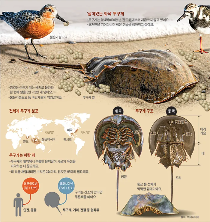 지금도 느낄 수 있는 중생대의 맛_1.webp