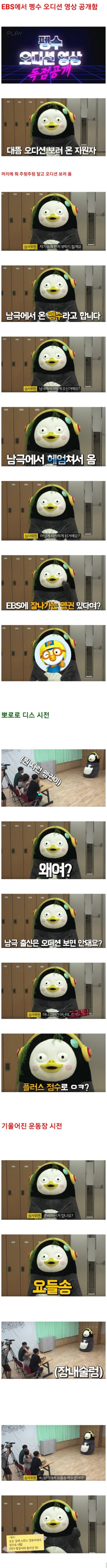 펭수 한창 뜨기 시작할 무렵 더욱 화제를 끌어모았던 오디션 에피소드.jpg_1.jpg